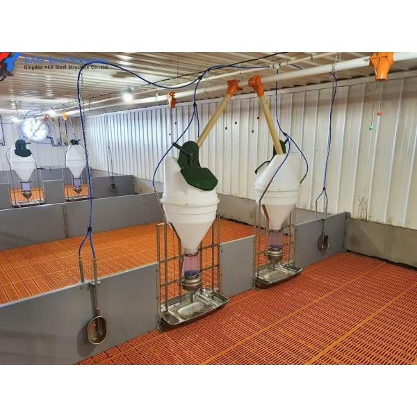 Customized High Strength Pig Feeding System For Livestock Piglet