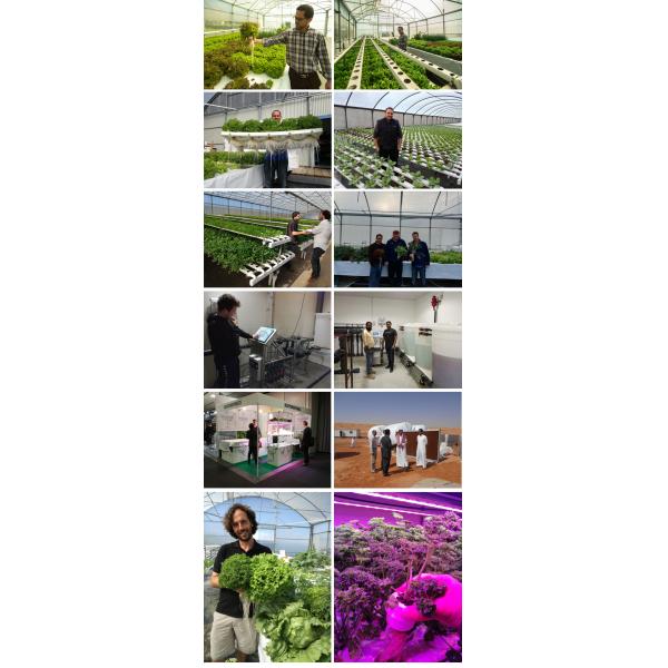 Expertise Hydroponics Aeroponics & Aquaponics System Consultancy Mentoring Facilities