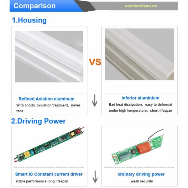 T8 Tube Light