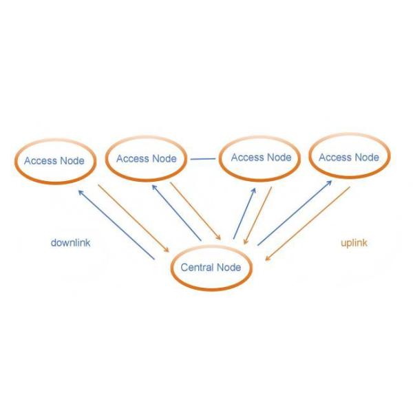 Point-to-multipoint network diagram