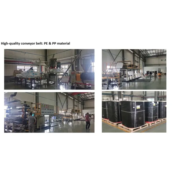 Galvanized Steel H Type Battery Layer Cages with Modular Structure and Automated Feeding for Poultry Farming