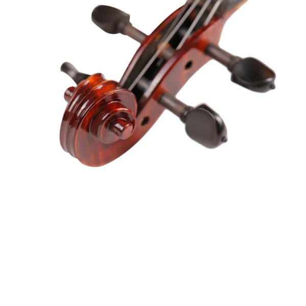 Violin china play Beethoven Violin Sonata No.5 Universal Violin Accessories Professional Use Classical Box For Violin