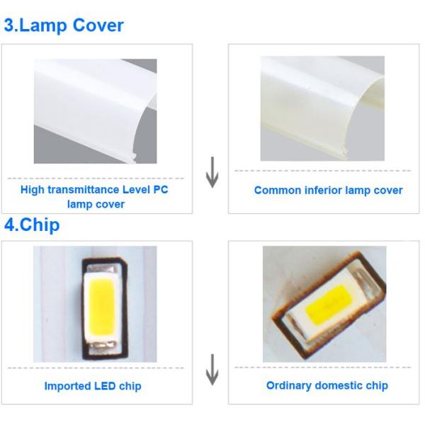 T8 Tube Light