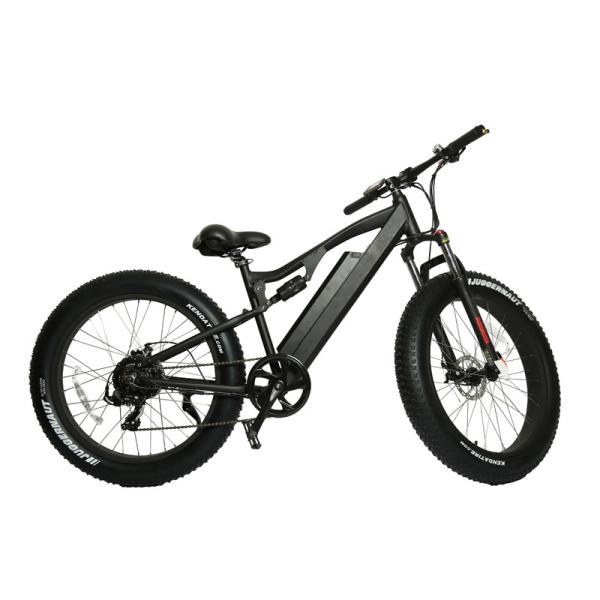30-50Km/h Max Speed 7 Speed Fat Tyre Mountain Electric Bike with 3 Hours Charging Time