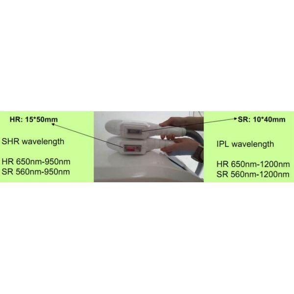Newest Ipl + e-light+ SHR 3 in 1 Hair removal device/CE/laser mini elight