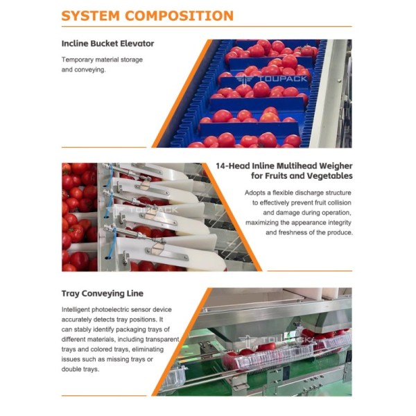 Fruit Tray Sealing Packaging Line | With Automatic Tray Denester & Fruit Linear Weigher