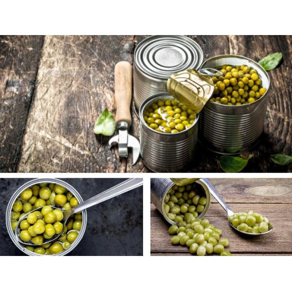 Fresh Canned Green Peas In Brine 800g With Exquisite Savory Flavor