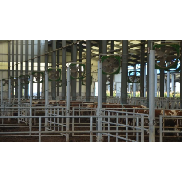 Customizable Earthquake Resistant Corrosion Resistant Quick Assembly Steel Structure Poultry House for Livestock Farming