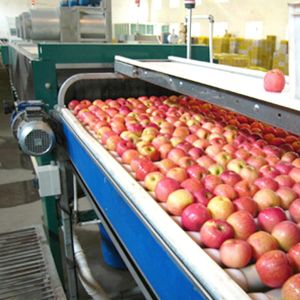 Lifting Apple Grading Fruit Processing Equipment For Classifying