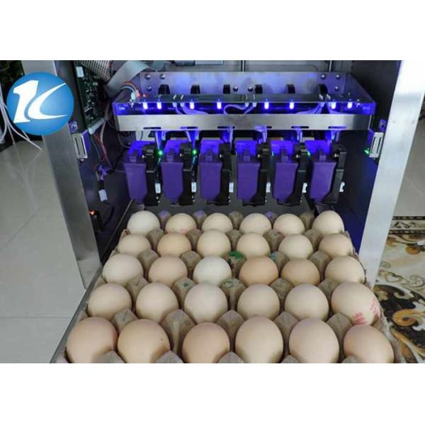 One Year Warranty Egg Marking Equipment With Six Spray Egg Printer Effect