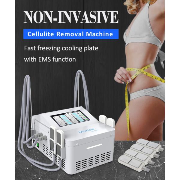 EMS Coolsculpting Cryolipolysis Machine Cryotherapy Cryo Machine For Fat Freezing