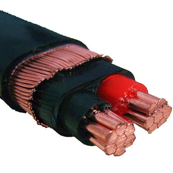 XLPE Insulated 6 AWG Copper Concentric Cable with 0.6/1kV Rated Voltage and Customizable Length