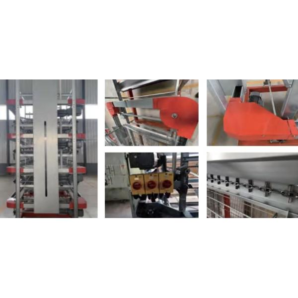 Chicken Poultry Cage H Type Layer Chicken Cage Automatic Feeding System