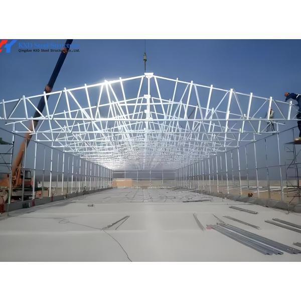 Complete Controlled Poultry Shed Prefabricated Steel Structure Chicken House for Farm Building