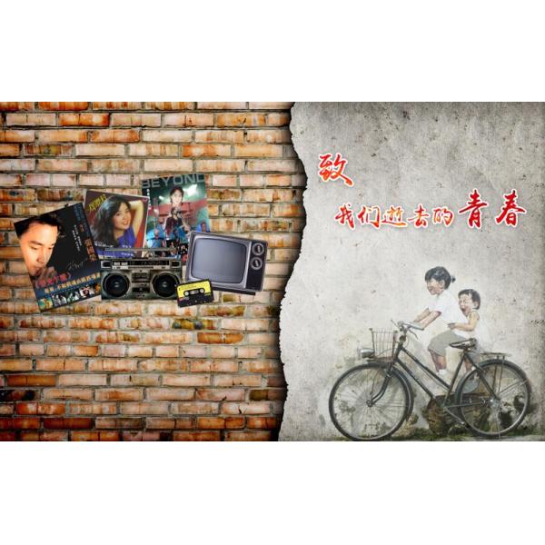 Anti UV Roller Shades For Office Windows , 6Grade Zebra Print Roman Blinds