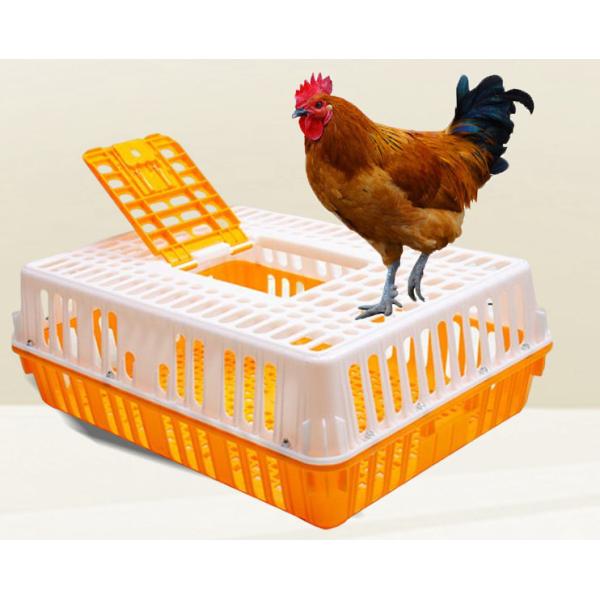 Poultry Carrier Crate Chicken Transport Cage Bird Chicken Carrier Travel Crate Basket Box