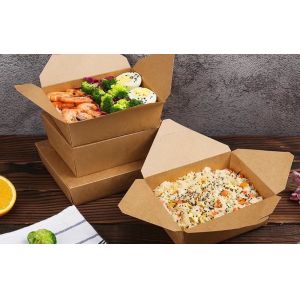750ml To 2000ml Biodegradable Sandwich Boxes Eco Friendly Disposable Food