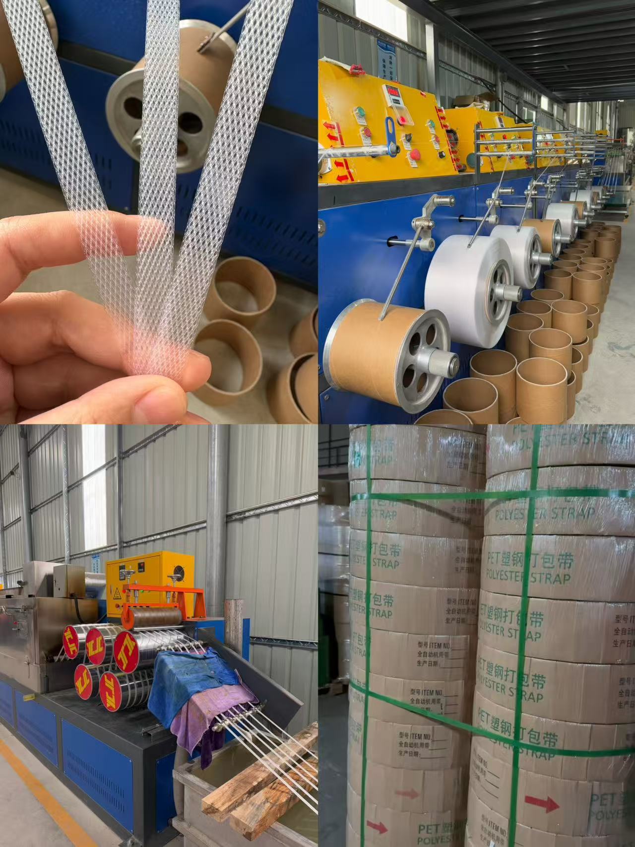 Polypropylene Packing Band PP Strapping with 5-19mm Width 0.3-1.2mm Thickness and 60-300kgf Tensile Strength for Automatic Strapping Machine