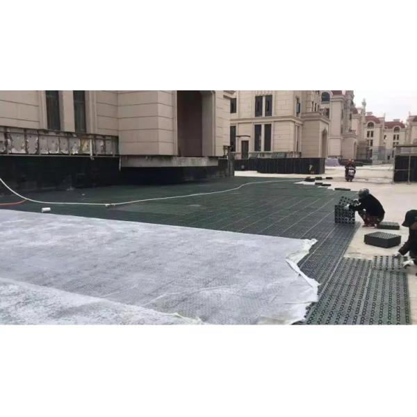 Modern Design Style Drainage HDPE Composite Drainage Board for Building and Construction