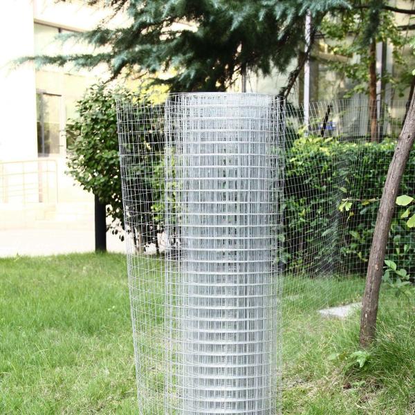 1"X1" Chicken Mesh Fence