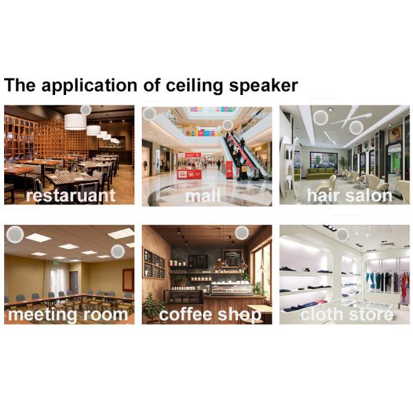 6 Inch Coaxial Speaker 30W Commercial Ceiling Speaker OEM ODM Loudspeaker