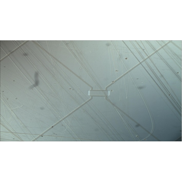 MX4R Ergonomic Metallographic Microscope with chromatic aberration correction optical system