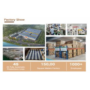 Shenzhen GoFull Technology Co., Ltd.