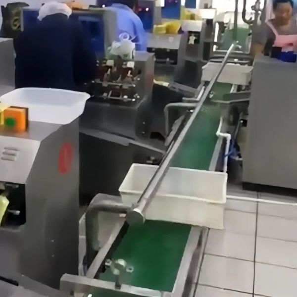 Expansion Bag Filling Sealing Machine Automatic Volumetric Filling Machine Temperature Control
