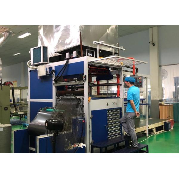 Versatile Medical Plastic Packing Tray for Disposable White Blister Tray