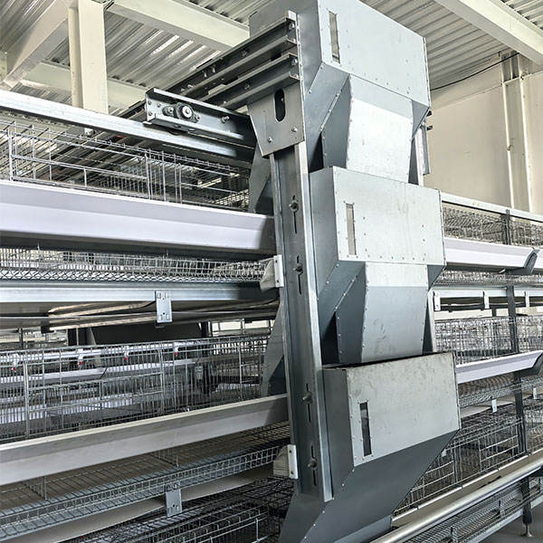 Automatic Poultry Feeding System for Smart Farming - Labor-Saving and Customizable Chicken Feeding Equipment