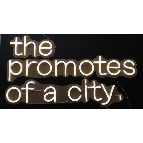 LED Custom Neon Signs Club / Restaurant Suit 12V DC Working Voltage