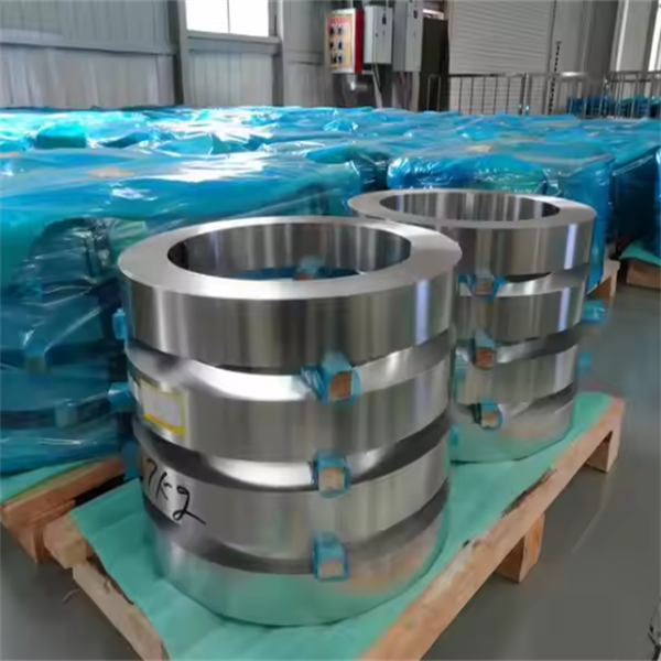 Heat Resistant Stainless Steel Strip 310S 321 Grades 0.2-4mm ASTM A167