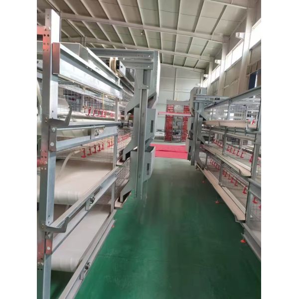 KXD Automatic Battery Cages for Laying Hens - High-Cost-Effective Corrosion Resistant Poultry Layer Farm Equipment with Automated Egg Collection
