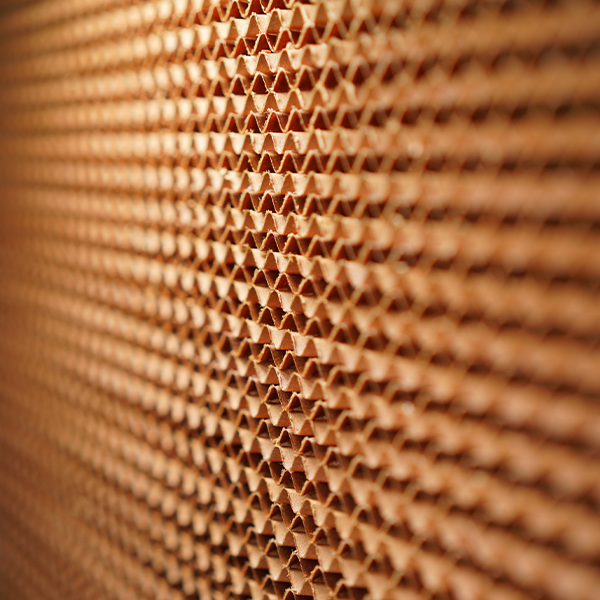 OEM Water Cooling High-Efficiency Cabinet Centrifugal Fan for Commercial Culinary Environments