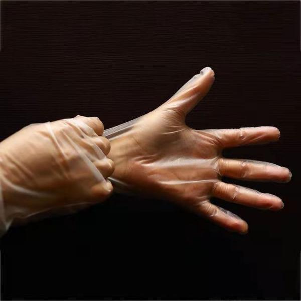 White Blue OEM Sushi PE TPE Disposable Vinyl Gloves