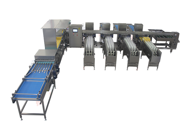 30,000 Eggs/hour LED Candling Electronic Egg Grading Sorting Machine