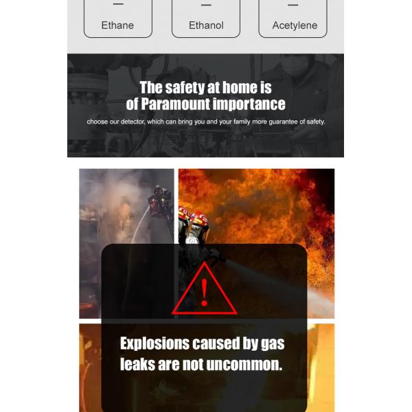 HT66 Gas Leak Detector for Combustible Flammable Natural Methane Gas Visible and Audible Alarm