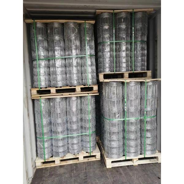 Agriculture Field Hot Dipped Galvanized Steel Wire Mesh Hinge Joint Fence for Cattle