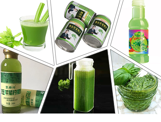 Safety Vegetable Processing Line Stable Performance Celery Processing Equipment