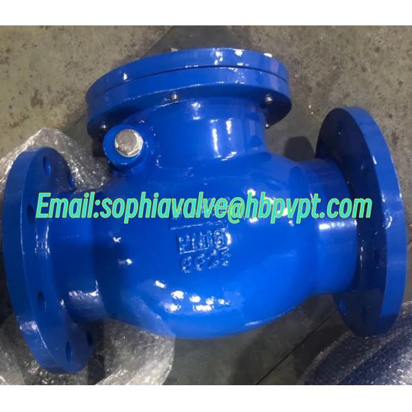 DIN PN16 metal seal flanged swing check valve