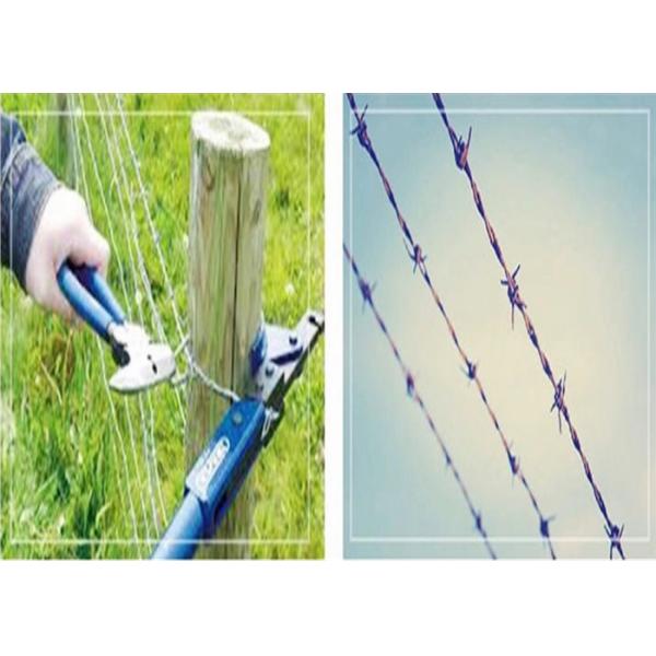 Green Pvc Coated Double Strand Twisted Barbed Wire Farm Use