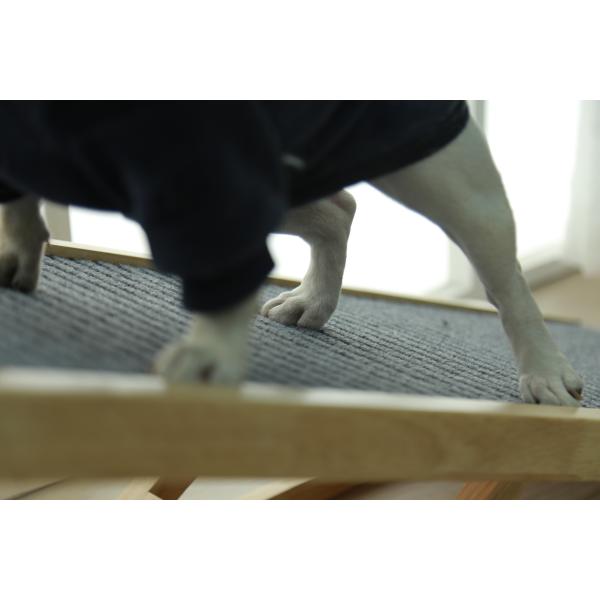 Non Slip Foldable Dog Bed Ramp With Rails Paw Friendly OEM ODM Bed Ramp For Dogs