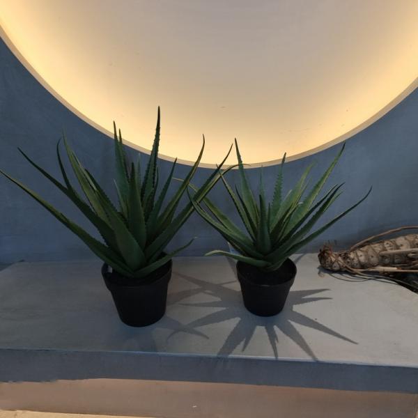 Lifelike Plastic Aloe Plant Indoor Outdoor Artificial Aloe Vera Faux Greenery Decoration