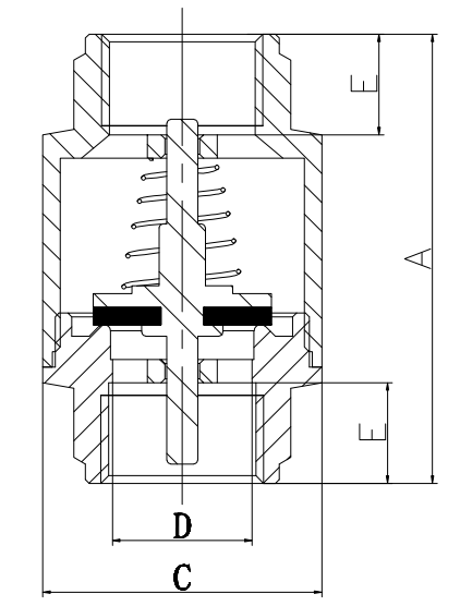 DIN259 Thread 2" Female X Female Brass Spring Check Valves