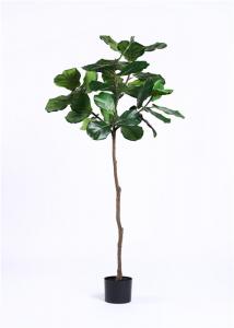China Evergreen Artificial Ficus Tree Longlife Anti UV For Public Area Decoration on sale