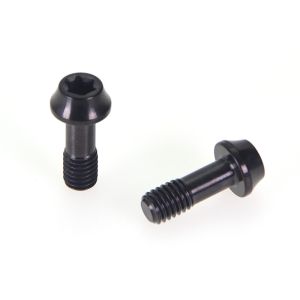 Buy cheap Black PVD Stainless Steel Decorative Screws A2-50 Grade Torx Drive M2-M10 product