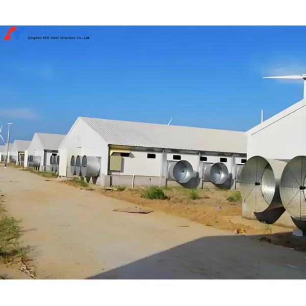 3 Tiers-10 Tiers Broiler Chicken Cage Automatic Broiler Battery Cage System