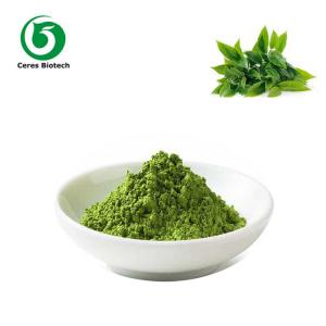 China Healthy Safe Organic Raw Green Tea Matcha Powder With Multi Applications on sale