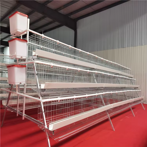 Smart Control High-Efficiency Modular Poultry House for Automated Chicken Farm Structure