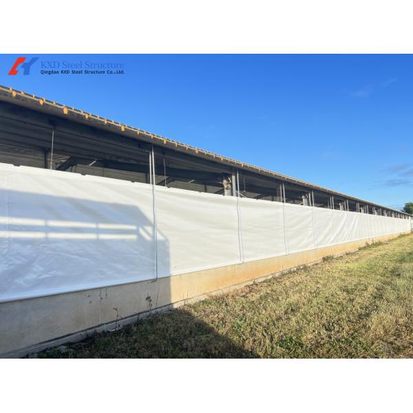 Fast Build Steel Structure Poultry Shed Construction Customized